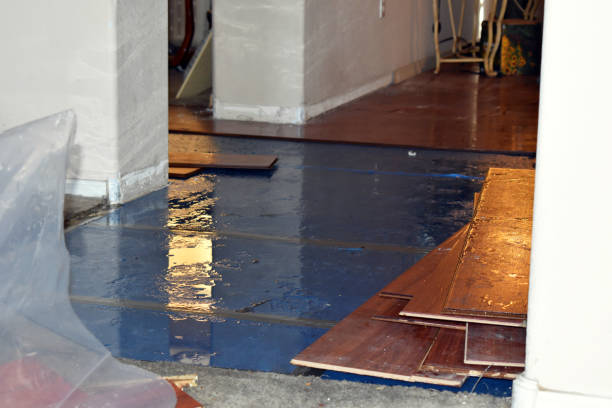 Professional Basement Flood Cleanup technician working in Baxter, MN